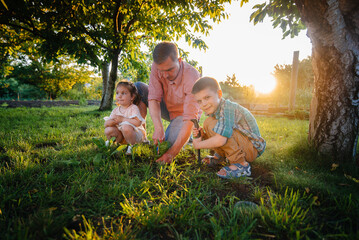 Fototapeta premium Little brother and sister are planting seedlings with their father in a beautiful spring garden at sunset. New life. Save the environment. Careful attitude to the surrounding world and nature