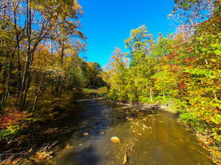 river in autumn forest