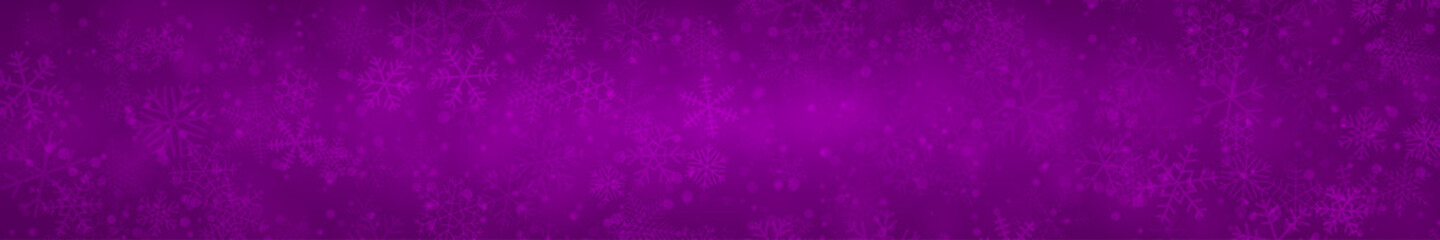 Fototapeta na wymiar Christmas banner of snowflakes of different shapes, sizes and transparency on purple background
