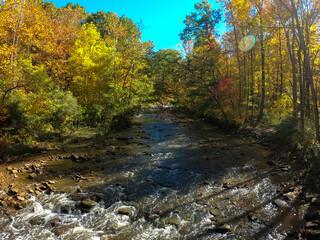 river in autumn forest