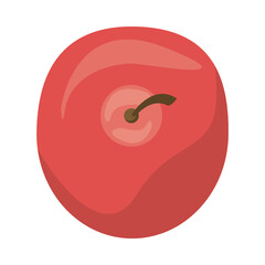 tomato fresh vegetable nature icon