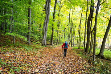 Active healthy man hiking in beautiful autumn forest