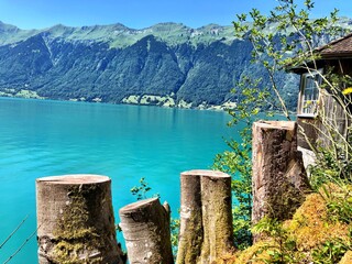 Bergsee mit Baumstumpf
