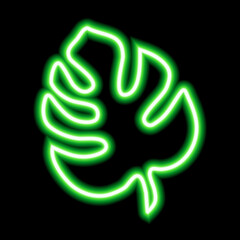 Green neon monstera leaf. Luminous element for your design on black background. Trendy element for your design. Natural organic concept