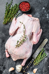 Raw free range goose with spices ready to cook. dark background. Top view