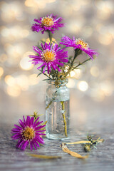 Purple asters in a bouquet on the table in a jar against the background of lights