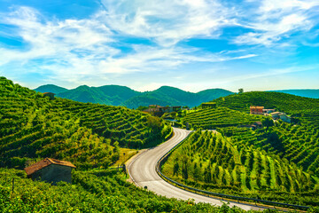 Vineyards and road. Prosecco Hills, Unesco Site. Valdobbiadene, Veneto, Italy - 386754779