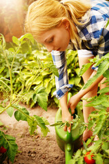 gartenarbeit