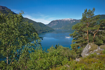 Sognefjorden, Norway ( taken on route 5 just south of Sogndal)