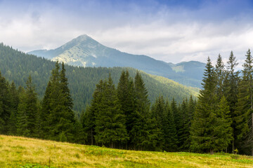 Fototapeta na wymiar nice carpathians landscape