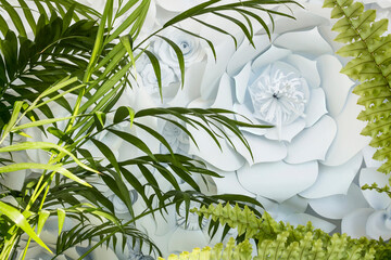 Green plants and white paper flower wall background