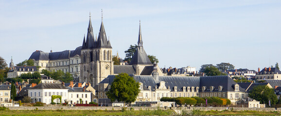 Fototapeta premium Cathédrale Saint Louis - Blois - Loir et cher - France