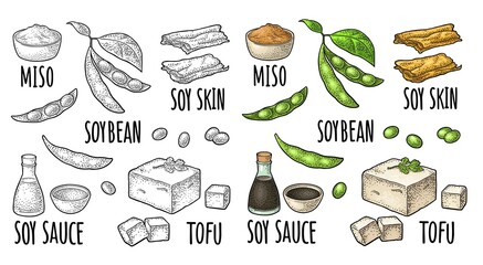 Soy food set. Miso, tofu skin, soybean, sauce