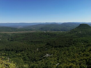 Obraz premium landscape with trees