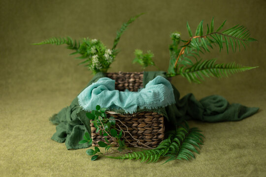 the wooden bucket is decorated with eucalyptus. props for newborn photo sessions. the branch of the eucalyptus. background for a photo shoot. furniture for dolls