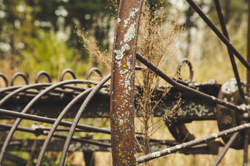 Rusted Farm Equipment