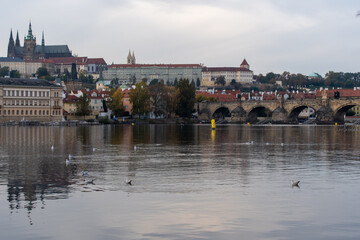 
Prague Castle and St. Vitus Cathedral and Charles Bridge on the Vltava River from the 14th century in the center of Prague at sunset in the Czech Republi