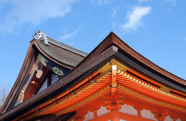Fototapeta na wymiar 八坂神社本殿の屋根