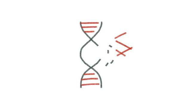 DNA break animation in simple crayon drawing style