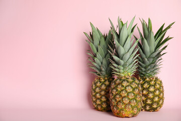 Ripe juicy pineapples on pink background. Space for text
