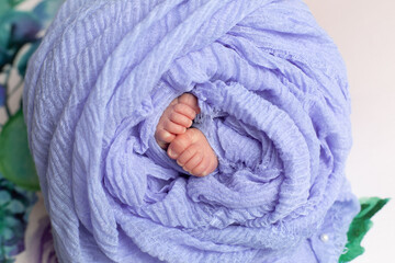 legs of a newborn baby. baby's feet. baby feet on purple background