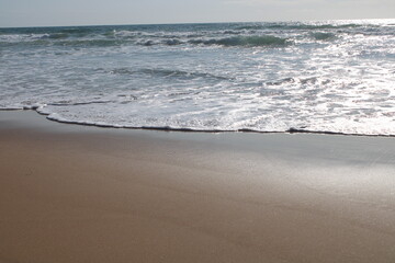 Desert Beach in Brazil