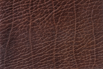 Texture of genuine leather close-up, dark brown color, background, copy space