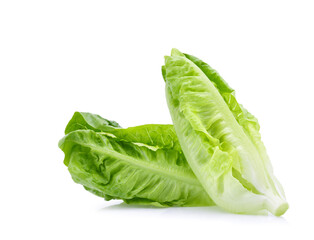 fresh baby cos,lettuce isolated on white background