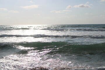 Desert Beach in Brazil