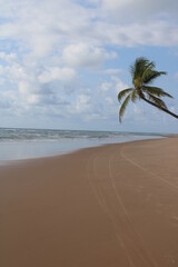 Desert Beach in Brazil