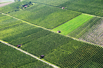 Vineyards near Weinsberg in Germany, Europe