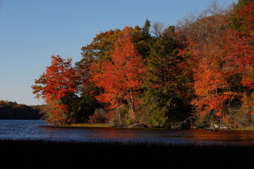 Cornwall, Ct, USA Fall foliage and autumn colors at Wangum Lake