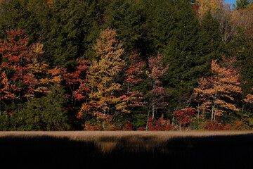 Cornwall, Ct, USA Fall foliage and autumn colors at Wangum Lake
