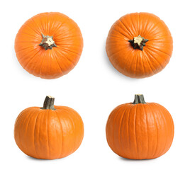 Set of fresh orange pumpkins on white background