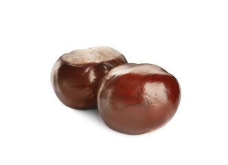 Two brown horse chestnuts isolated on white