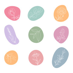 Set of medicinal plants. Collection hand drawn, botanical and healing isolated plants. Design of cosmetics herbs. White line art with abstract colorful forms. Contour. Vector illustration.