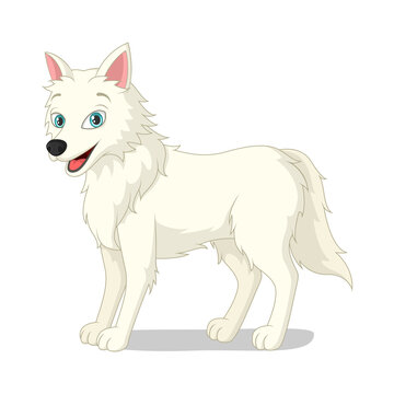 Cartoon arctic wolf on white background