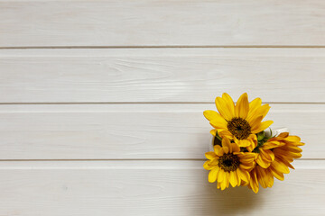 Three beautiful sunflowers on a white wooden table. Top view of yellow flowers. Great for presentations.