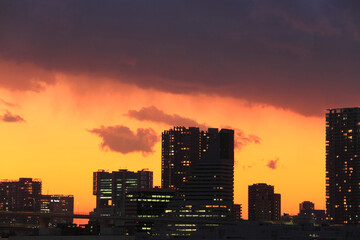 都心ビル群夕景