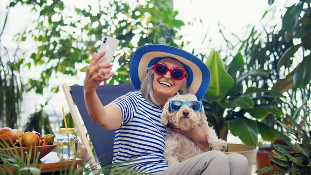 Senior woman with dog relaxing and taking selfie indoors at home, lockdown concept.