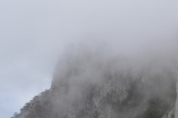 Obraz na płótnie Canvas fog in the mountains