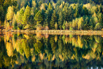 The Hinggan mountains of China autumn landscape. 