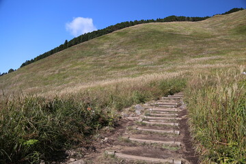 曽爾高原