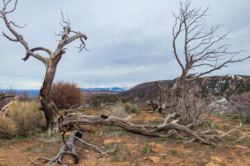 Mesa Verde National Park