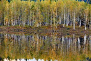 The Hinggan mountains of China autumn landscape. 