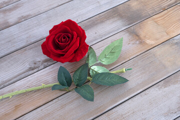 Plucked red rose flower on wood grain background