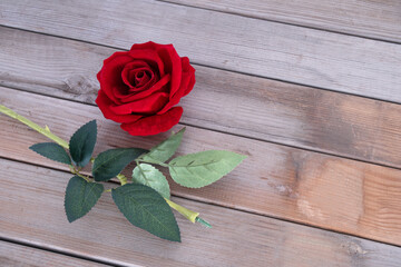 Plucked red rose flower on wood grain background
