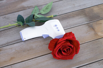 Model composed of clinical thermometer and red rose