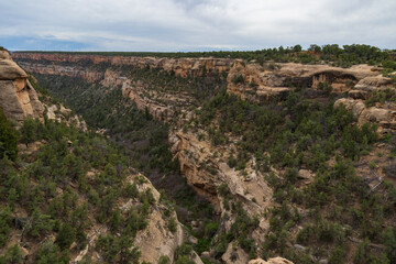 Fototapeta na wymiar Canyon at Mesa Verde National Park
