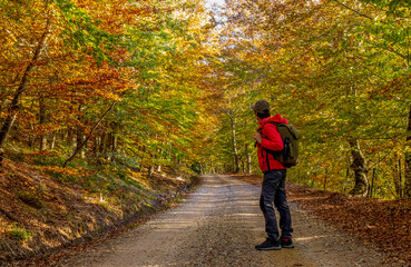 young woman walking with a backpack among beech trees in autumn with red sportswear